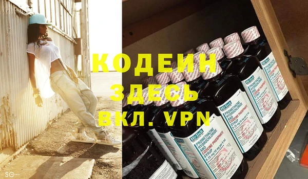 прущие грибы Вязьма