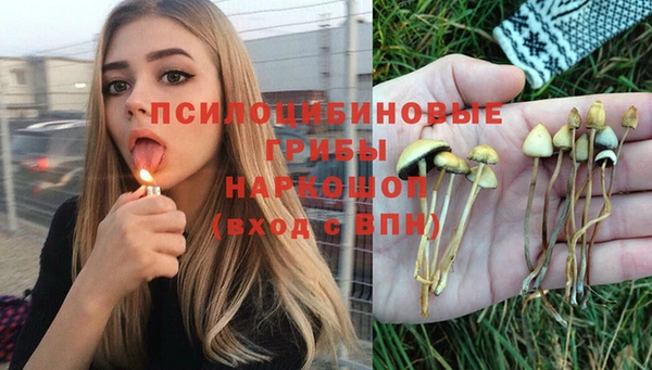 прущая мука Вяземский