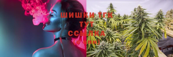 прущая мука Вяземский