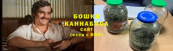 прущие грибы Вязьма