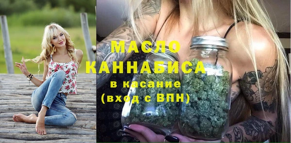 прущие грибы Вязьма