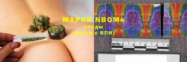 прущие грибы Вязьма