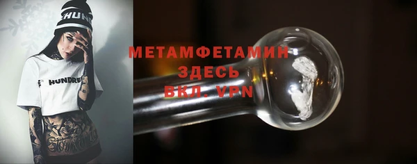прущие грибы Вязьма
