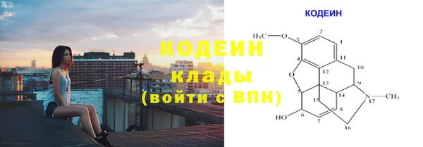 прущая мука Вяземский