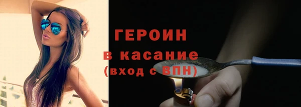 прущие грибы Вязьма