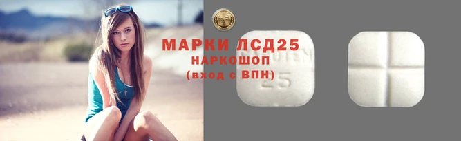 прущие грибы Вязьма