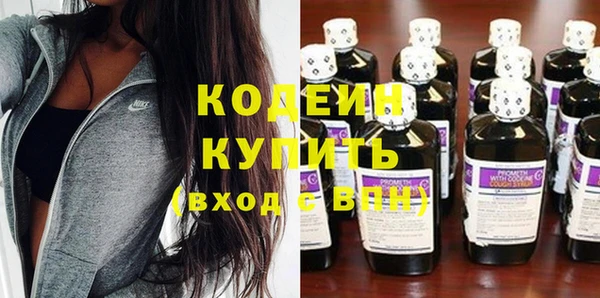 прущая мука Вяземский