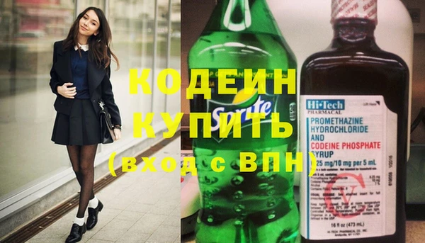 прущие грибы Вязьма
