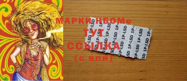 прущие грибы Вязьма