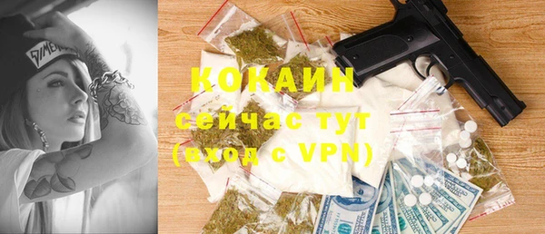 прущая мука Вяземский
