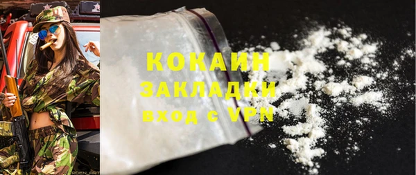 прущие грибы Вязьма
