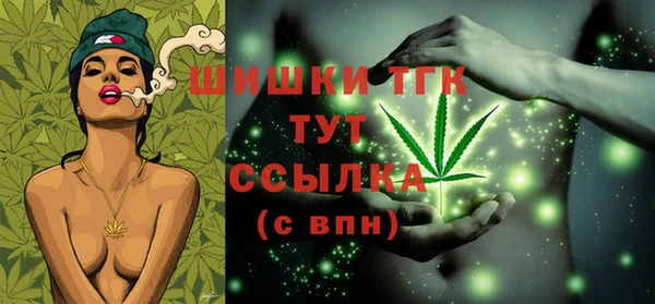 прущая мука Вяземский