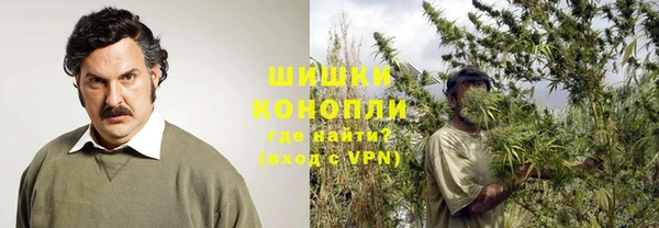 прущая мука Вяземский