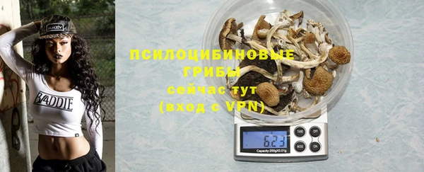 прущие грибы Вязьма