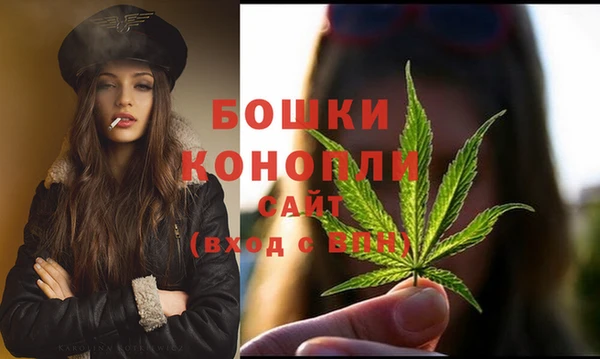 прущая мука Вяземский