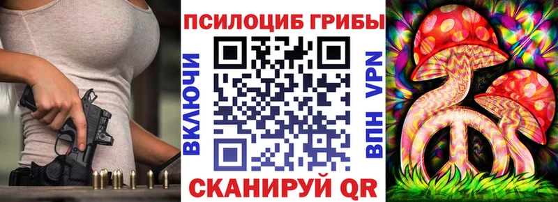 Купить где  Краснозаводск  Псилоцибиновые грибы Psilocybine cubensis 